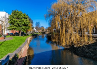 A view of weeping willows draped across the River Welland in the centre of Spalding, Lincolnshire on a bright sunny day