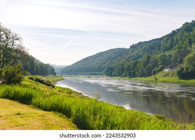 view from wehlen over river elbe glistening in the morning sun in spring summer with green meadow and tree forest banks - Shutterstock ID 2243532903