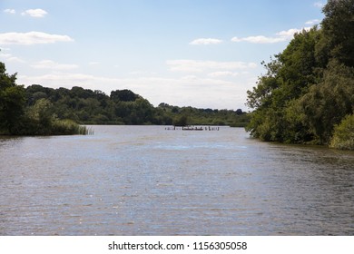 View Of The Weirs / South Walsham Broad, The Broads, Norfolk, UK