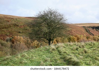 A View Of The West Pennine Moors On A Beautiful Autumn Day