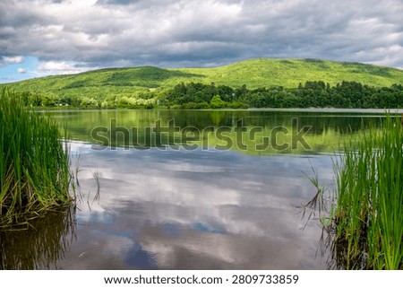 View of the West River and grasses along the river bank in Brattleboro, Vermont during the spring. 