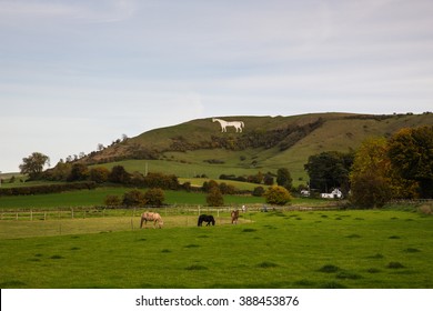 A View Of Westbury White Horse Hill & The Farm Nearby