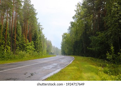 View Of The Wet Road Along The Forest After Rain