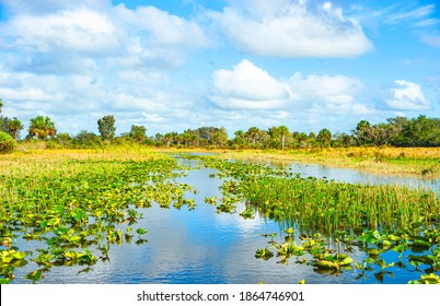 2,361 Central florida landscape Images, Stock Photos & Vectors  Shutterstock