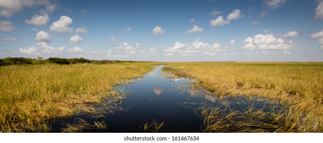 View Of Wetlands Florida Everglades