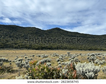 The view while climbing a mountain—a truly beautiful sight.