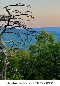 View While Hiking In Maryville, TN