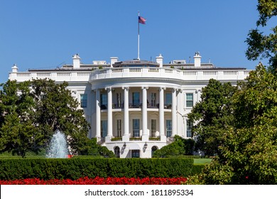 View of the White House in Summer with Red Flowers