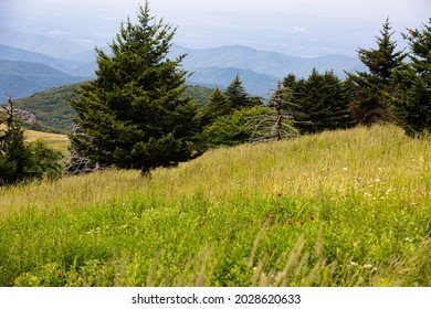 48 Whitetop mountain Images, Stock Photos & Vectors | Shutterstock