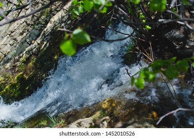 A View Of The Wild Flowing White Water Rapids On The Creek Rocks In The Forest Trees Under The Summer Sunlight. 