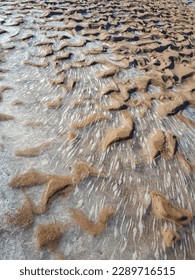 View of wind shaped sand surface with water frozen in sand puddles in bright sunlight in winter. Beach sand texture