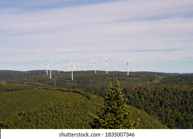 View of wind turbines in Carleton-sur-mer, Canada