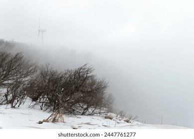 View of the wind turbines on the covered mountain in winter - Powered by Shutterstock