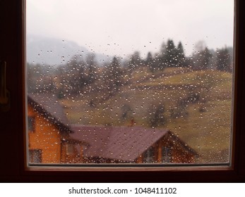 view from the window
