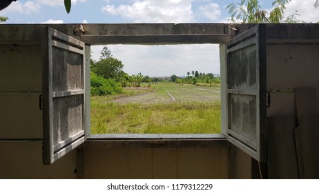 view from window