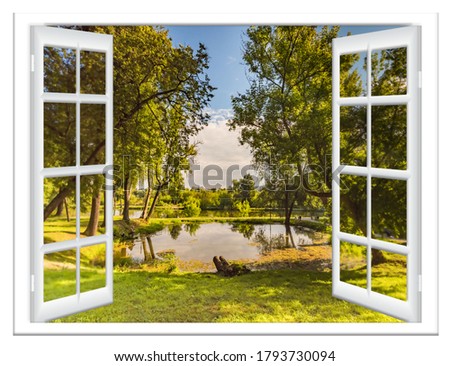 view from the window in the body of water and the tree in summer
