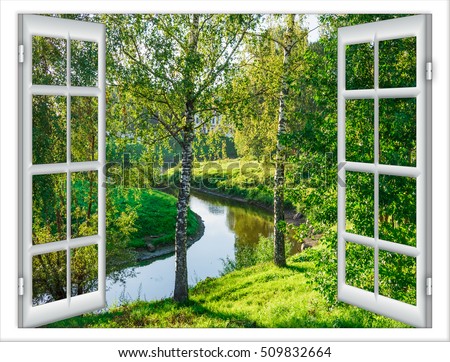 view from the window in the body of water and the tree in summer
