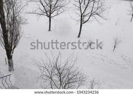 Similar – Letzter Schnee Winter