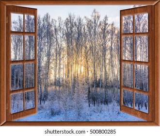 View From The Window Of A Winter Forest