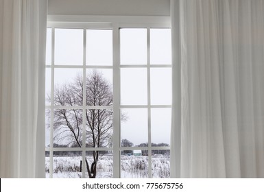 view from the window of a winter forest