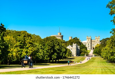 View of Windsor Castle from the Long Walk - England, the United Kingdom