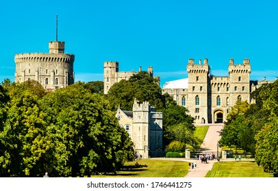 View of Windsor Castle from the Long Walk - England, the United Kingdom