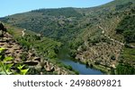 View of wineries in Douro river valley from Fonseca (quinta do panascal). 