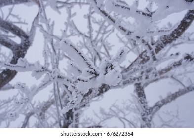 View of winter mountain