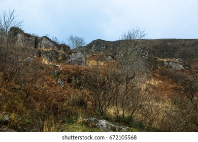 View Of Winter Vegetation At Ring Of Kerry Ireland