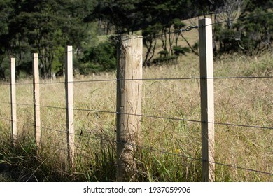 View Of Wire Boundary Farm Fence With Wooden Posts