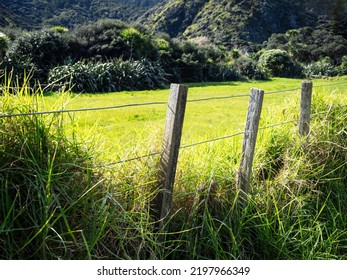 View Of Wire Boundary Farm Fence With Wooden Posts In Bright Daylight