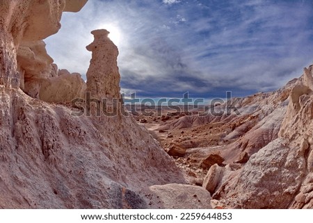 View from within a shallow cave in the Jasper Forest at Petrified Forest National Park Arizona. Hoodoo formation on the left is called the Jasper King.