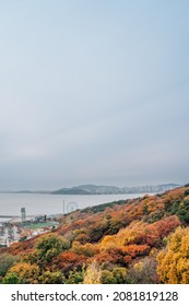 View Of Wolmido Island Park And Sea At Autumn In Incheon, Korea