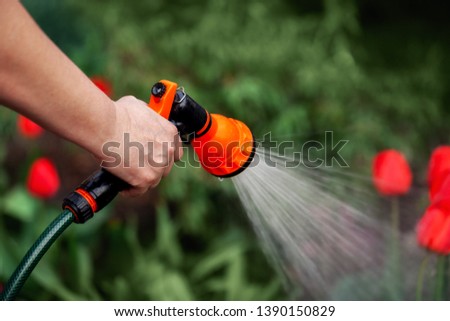 View woman hands watering plants from the hose, makes a rain in the garden. Gardener with watering hose and sprayer water on the flowers.