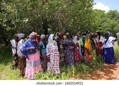 View Of A Women Meeting In The Rural Village Of Talto Djega-Saré Diallo, Kolda Region, Senegal, West Africa. October, 11, 2019. Standing Colorful Dressed African Ladies In The Countryside. 