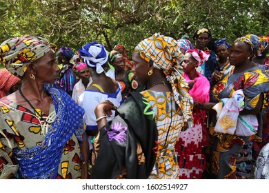 View Of A Women Meeting In The Rural Village Of Talto Djega-Saré Diallo, Kolda Region, Senegal, West Africa. October, 11, 2019. Standing Colorful Dressed African Ladies In The Countryside. 