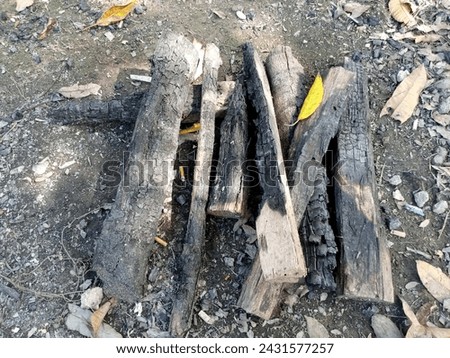 View of wood remnants from burning