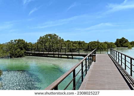 View of wooden boardwalk in Jubail Mangrove Park in Abu Dhabi