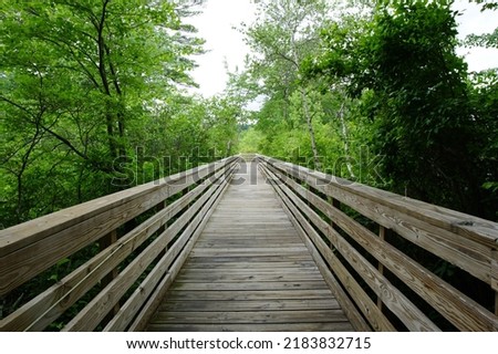 View of a wooden boardwalk at Stony Brook Wildlife Sanctuary in Norfolk, Massachusetts
