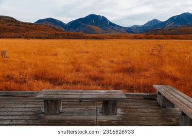 View from a wooden deck toward beautiful fall colors of the grassy field in a bleak atmosphere on a cloudy gloomy day in Senjogahara 戦場ヶ原, a preserved wetland in Nikko National Park, Tochigi, Japan