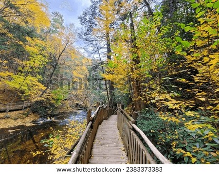 The view of the wooden walking trail surrounded by stunning fall foliage near Bushkill Falls, Pennsylvania, U.S.A