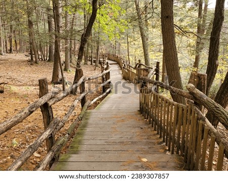 The view of the wooden walking trail surrounded by stunning fall foliage near Bushkill Falls, Pennsylvania, U.S