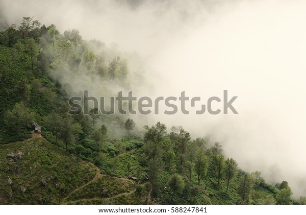 View Worlds End Horton Plains National Stock Photo Edit Now