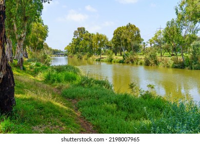 View of the Yarkon river, and trees, in the Yarkon Park, Tel-Aviv, Israel