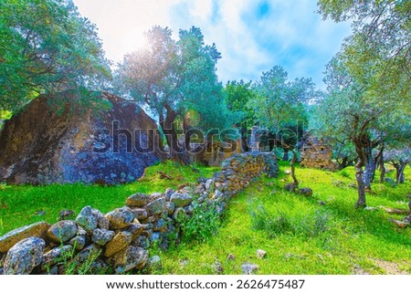 View of the Yediler Monastery ruins. May 7, 2025. Bafa Lake Nature Park. Milas, Muğla, Turkey. 