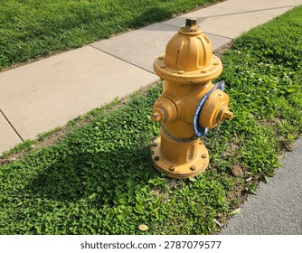 View of a yellow fire hydrant positioned beside a concrete sidewalk and surrounded by green grass and clover.  The hydrant is bathed in sunlight which is casting a crisp and distinctive shadow on the grass.  The chain and bolts are showing a bit of rust.