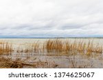 View of the York River in Virginia, USA from York River State Park