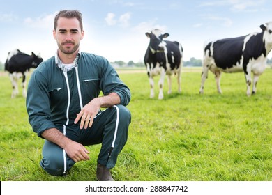 45,148 Pasture Farmer Stock Photos, Images & Photography | Shutterstock