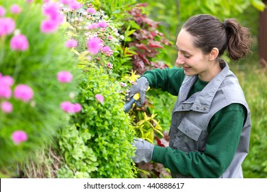 Bilder Stockfotos Und Vektorgrafiken Mauer Garten Shutterstock