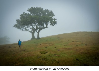 View of a young boy jumping in front of a lone standing laurel tree at the Fanal Forest on Madeira, Portugal, while dense fog creeping up the mountain